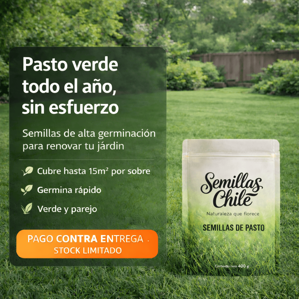 🌱Semillas de Césped Autoreparable - 400g - Cubre hasta 15 m2 2