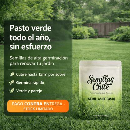🌱Semillas de Césped Autoreparable - 400g - Cubre hasta 15 m2 2