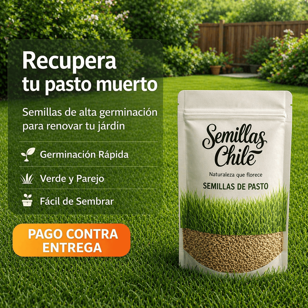 🌱Semillas de Césped Autoreparable - 400g - Cubre hasta 15 m2