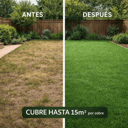 🌱Semillas de Césped Autoreparable - 400g - Cubre hasta 15 m2 2