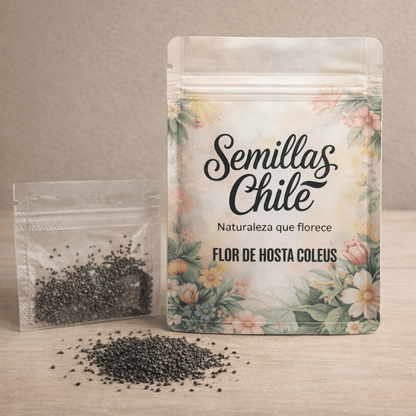 🌿Semillas de Hosta para jardines de sombra exuberantes💖🔥1 paquete - 100 semillas Aprox. (5 gr.)